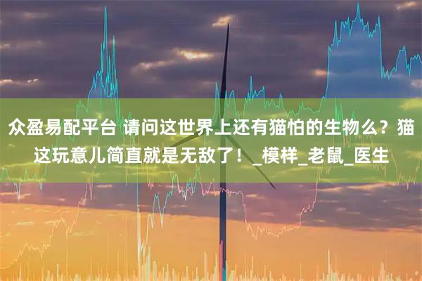 众盈易配平台 请问这世界上还有猫怕的生物么？猫这玩意儿简直就是无敌了！_模样_老鼠_医生