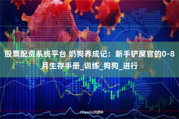股票配资系统平台 奶狗养成记：新手铲屎官的0-8月生存手册_训练_狗狗_进行