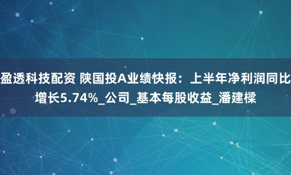 盈透科技配资 陕国投A业绩快报：上半年净利润同比增长5.74%_公司_基本每股收益_潘建樑